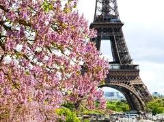 Сирень похожа на Париж