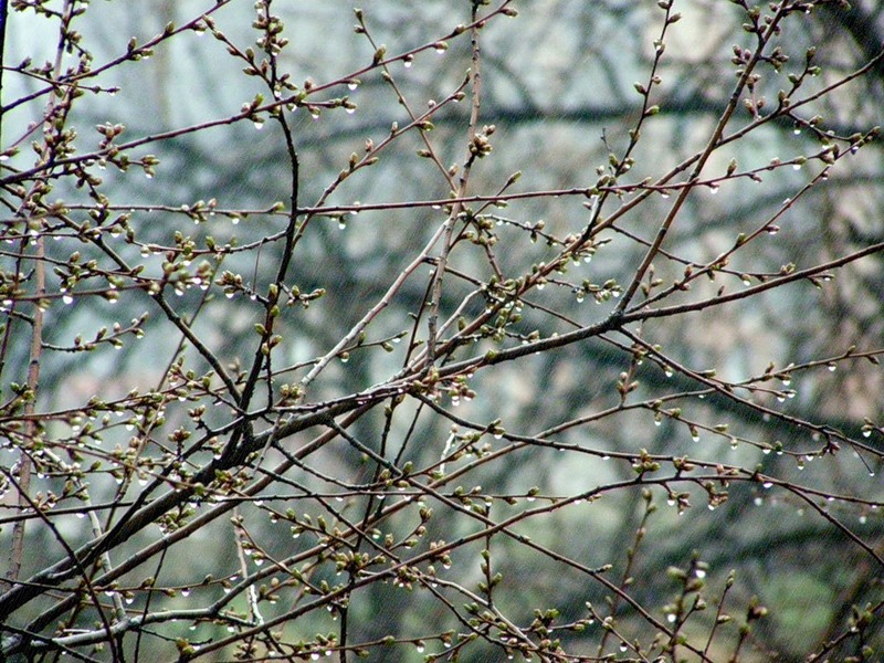 Нынче тепло...