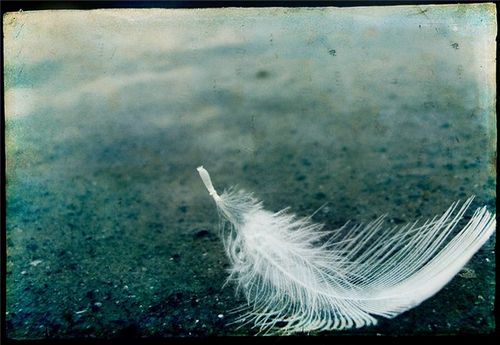 Я улетаю... от тебя