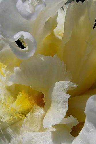 Нежность и Нежность