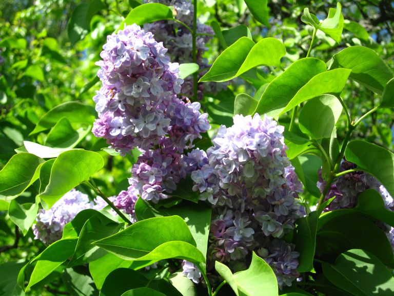 Он и Она или Я и Ты