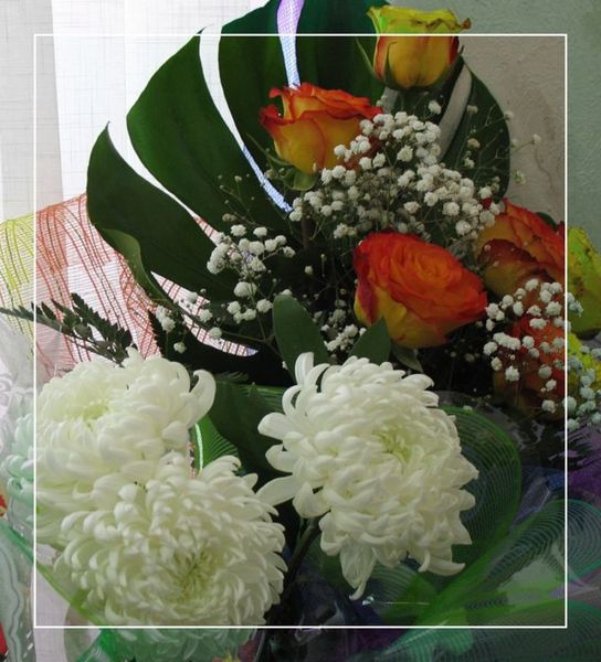 Букетов белых хризантемы