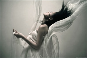 Крылья в чехле