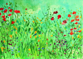 Земля накинула на смуглое плечо