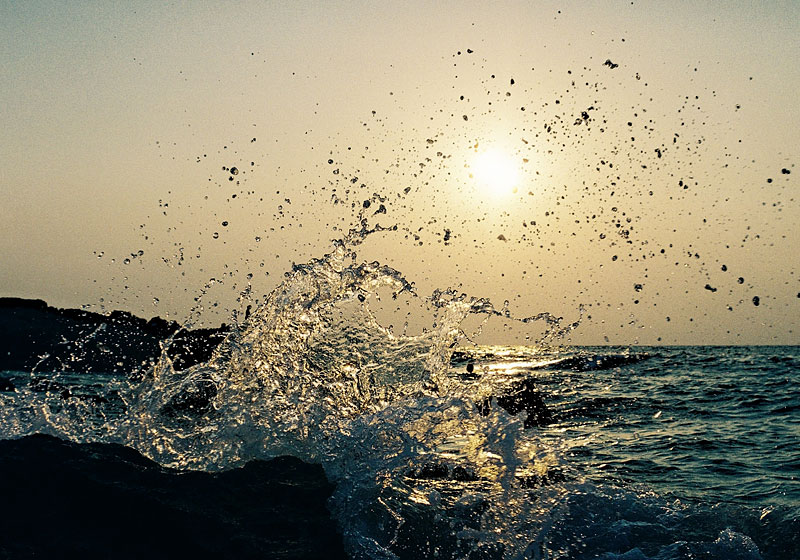 тебя любил..