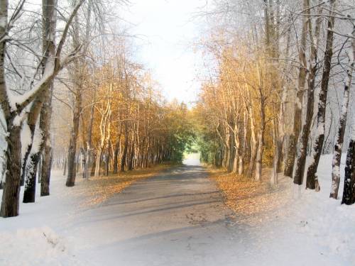 Времена года