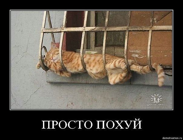 Пока не вижу я фарсаж
