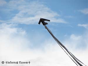 Мiстерiя мрii