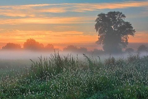 Рождение дня