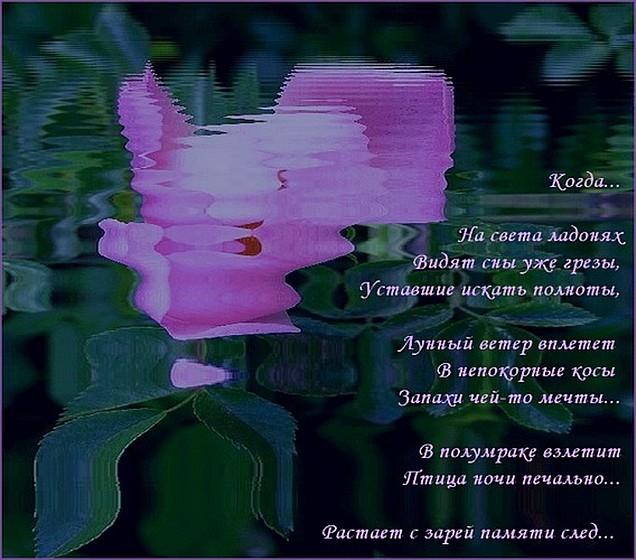 На ладонях света уснуть