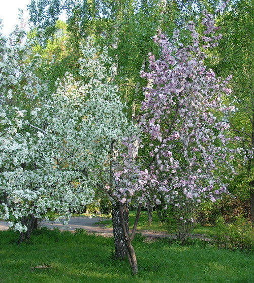 К вам дорогу точно знаю