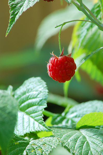 Пожелание учителям