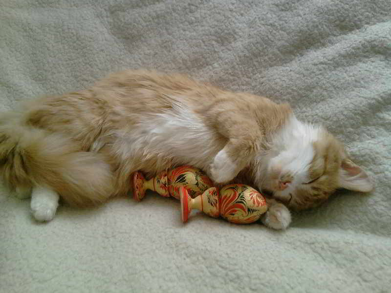 Яйцо - как модель Вселенной