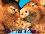 Владимир Богуславский. Знакомому поэту