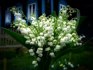 Мне приснилось?!