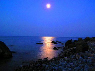 Мы обязательно встретимся...