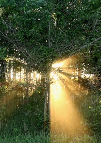 Паренье между...