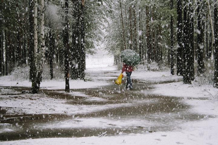 Майский снег