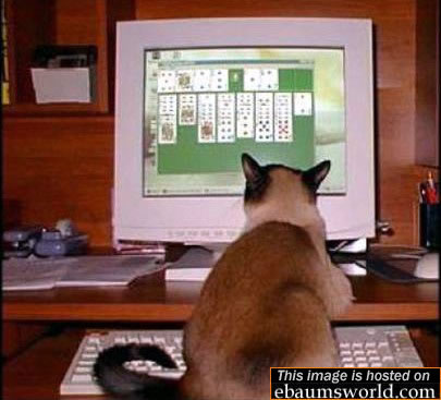 Ах, эти коты! - 64