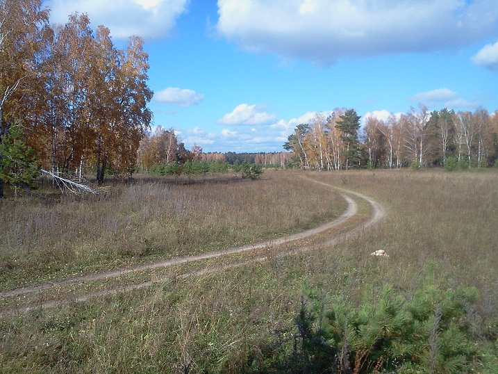 Вьюга осенняя