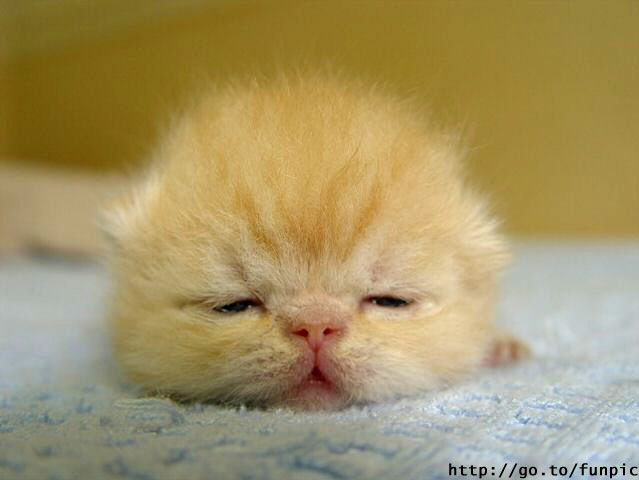 Прощание с детством