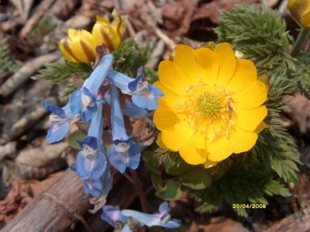 Счастливые люди и звезды...