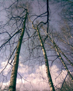 Свет... души!