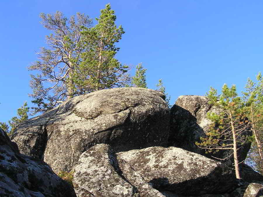 Высокое блаженство