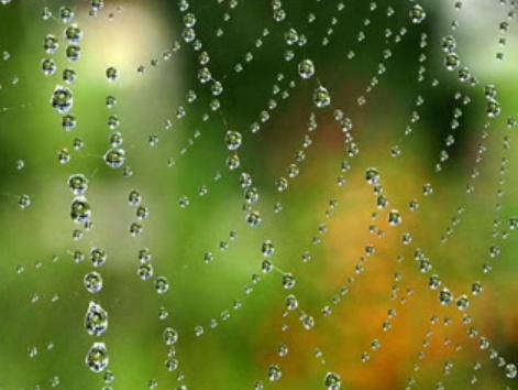 Красно-солнышко встаёт