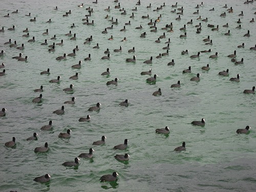 Оправдание