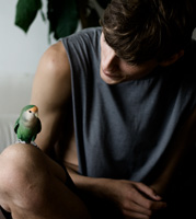 Залетела птичка