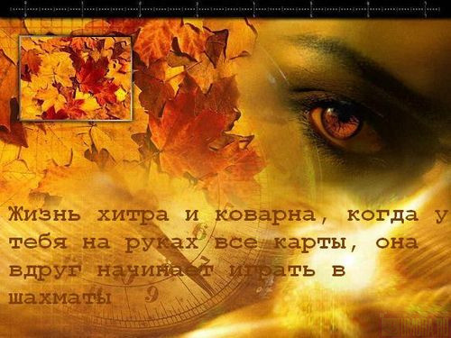 Люблю и ненавижу