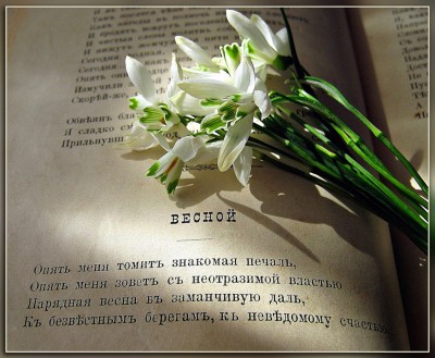 В почтовом ящике - цветы