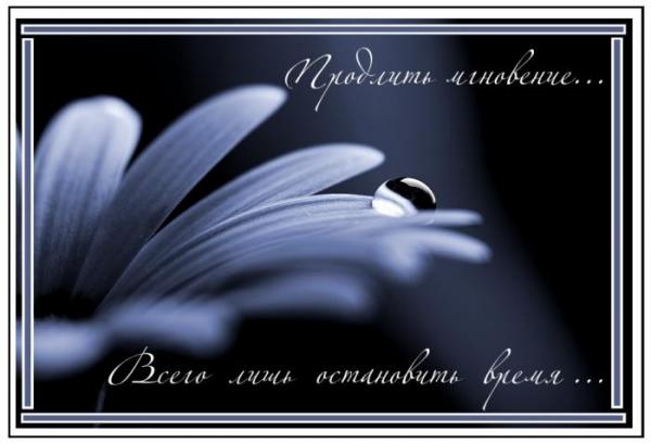 Пусть не кончается ночь...