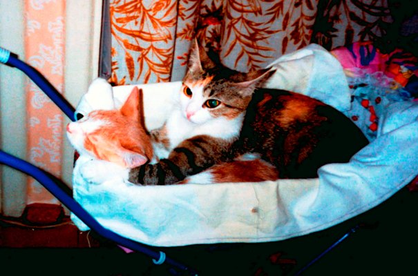 Очень любит маменька