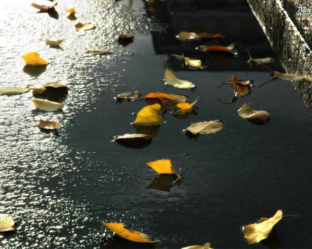 Послевкусие Любви