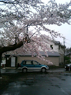 Область Осеннее Поле