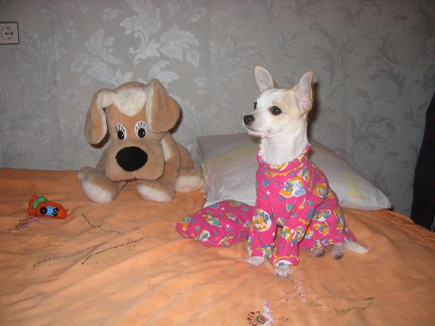 По привычке, придя домой