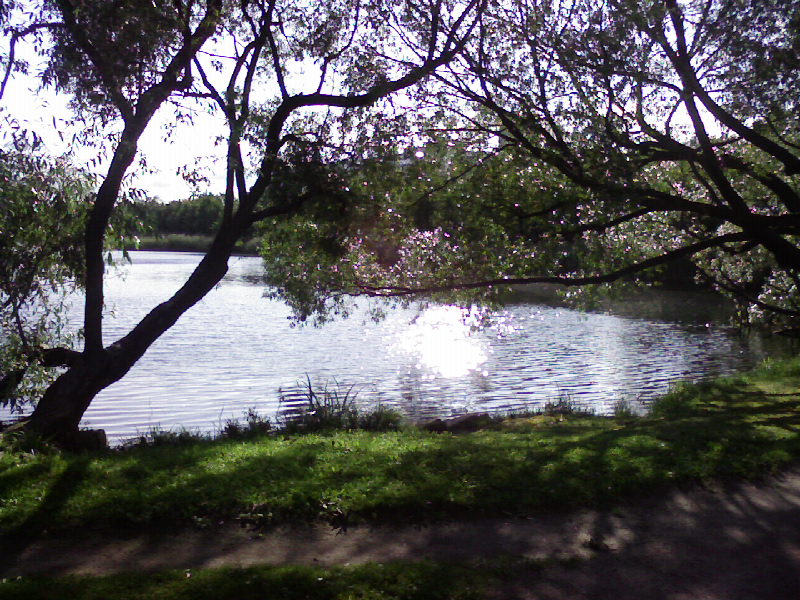 О, раны сердца!