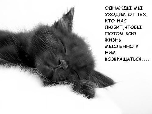 Глупо, но больно...