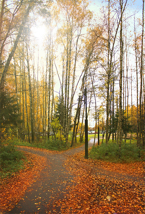 Мне не уйти от этих сумрачных улиц