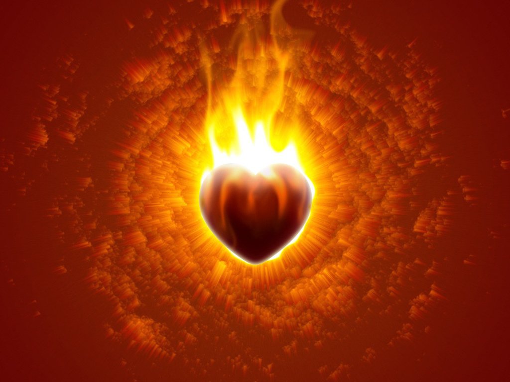 Для моей любимой жены, для Полины