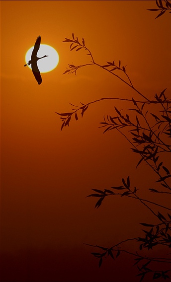 Не волнуйся, Милая!..