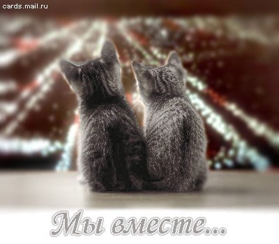 Я и ты
