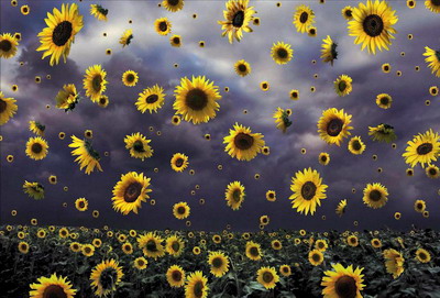 Вспомнишь ли ты?