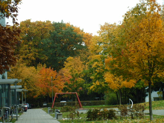 Золотая осень