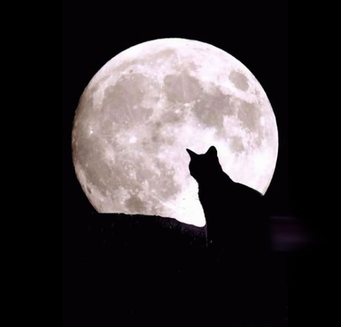 лунное-прелунное