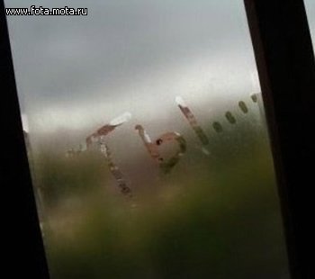 Вампир и виолончель