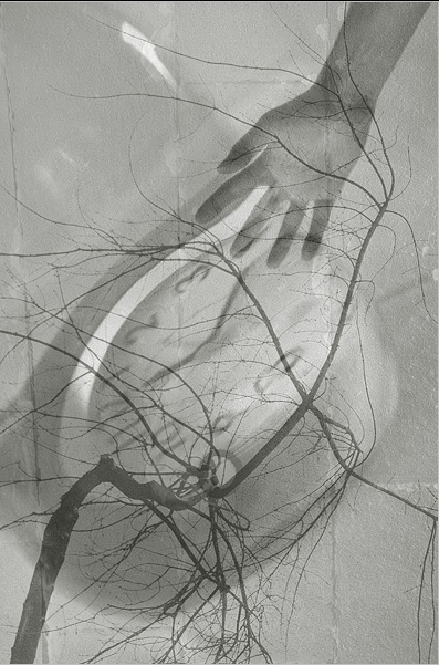 Ускользающее лето...