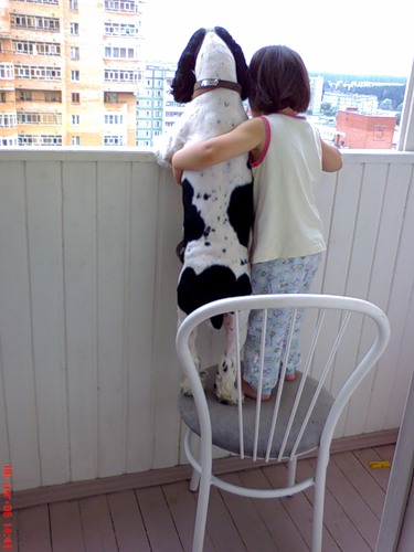 Мой пес и друг Тигран